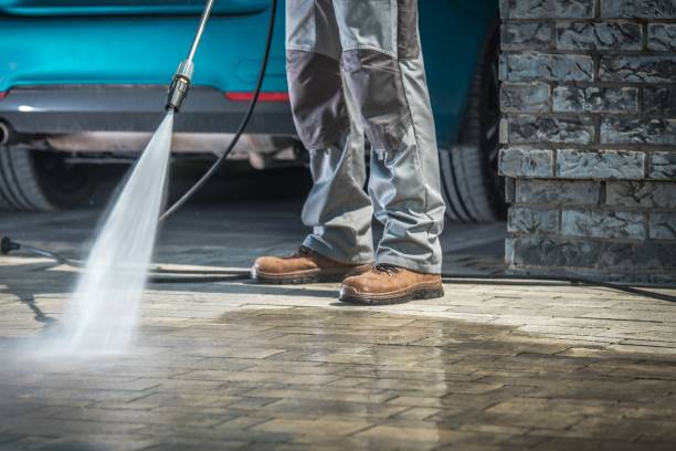 Best Soft Washing  in Greenwood, IN