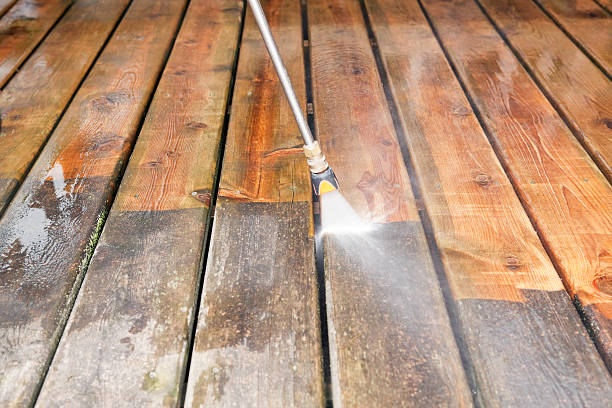 Best Fence Cleaning  in Greenwood, IN